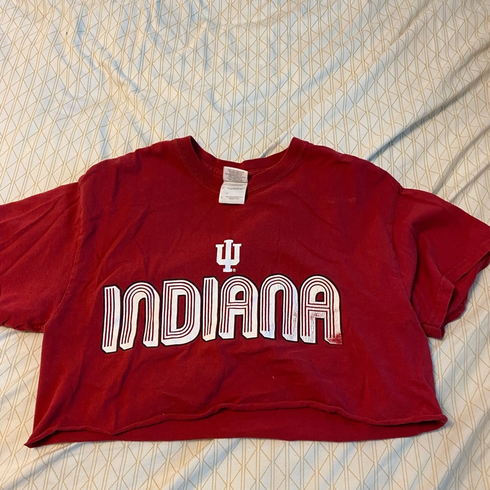 IU croptop
